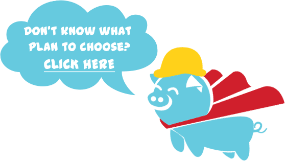 Blue Pig Web Solutions-Choose